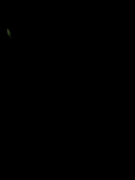 big12phase online show from March 2026 04:51:02 AM