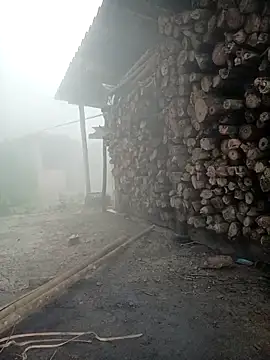 cutebobi online show from March 2026 01:42:02 AM