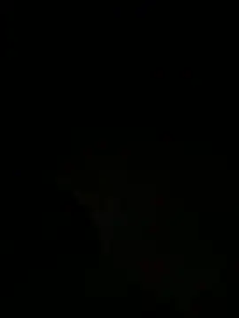 Snapshot of tyd247 chatting on March 2026 03:11:01 PM tyd247 online show from March 2026 03:11:01 PM