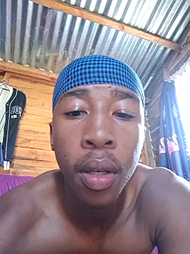 Peterveero12 online show from February 2026 04:14:02 PM