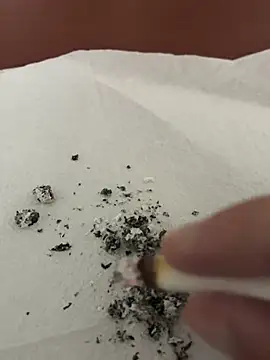 dickdondra online show from February 2026 11:42:02 AM