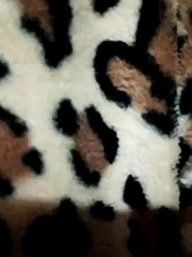 dilduarte26 online show from July 2026 01:19:01 PM