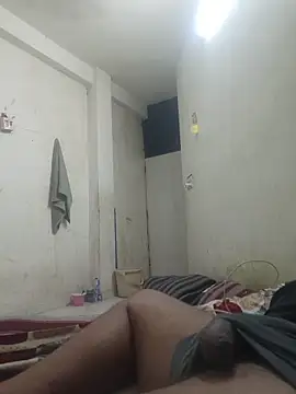 GTX-8194 online show from March 2026 07:24:01 AM