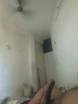 GTX-8194 online show from March 2026 08:20:01 AM