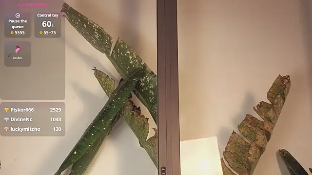 came-a-lot online show from February 2026 08:18:01 PM