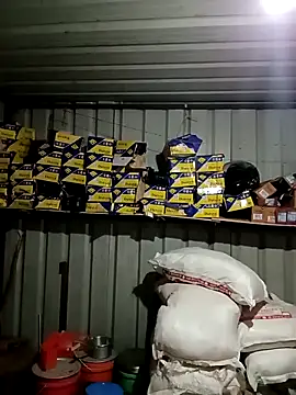 Snapshot of Krishna-10 chatting on February 2026 01:54:01 PM Krishna-10 online show from February 2026 01:54:01 PM