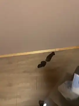 kin-y7 online show from February 2026 03:43:01 AM