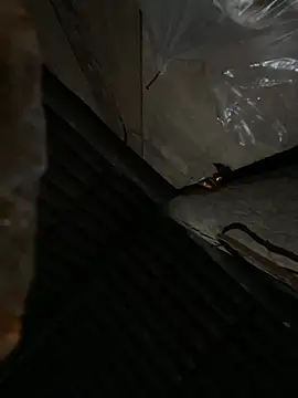 bikhidj online show from April 2026 06:02:01 PM