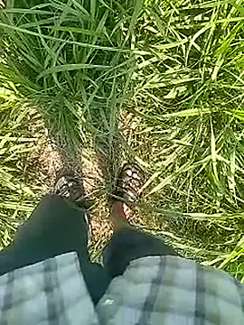 Snapshot of Cute_Boy_4 chatting on February 2026 05:30:01 AM Cute Boy 4 online show from February 2026 05:30:01 AM