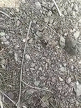 Cute Boy 4 online show from March 2026 07:00:02 AM