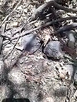 Cute Boy 4 online show from April 2026 08:10:01 AM