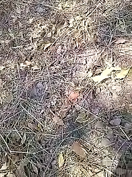 Cute Boy 4 online show from April 2026 07:53:01 AM