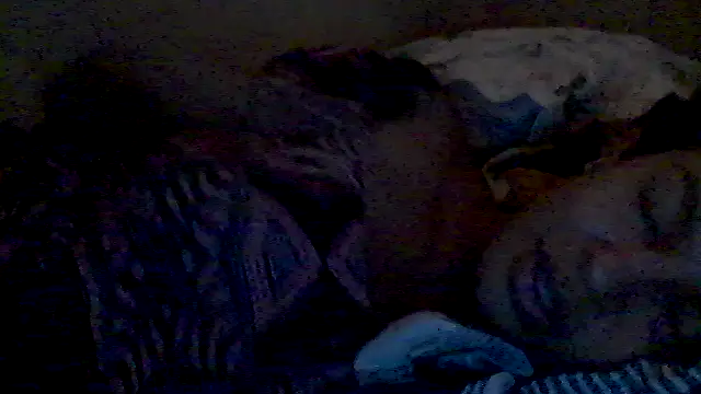 Snapshot of lorraine2036 chatting on February 2026 02:57:01 PM lorraine2036 online show from February 2026 02:57:01 PM