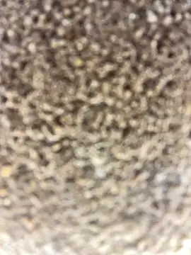 Snapshot of Namipeitudinha chatting on February 2026 04:58:02 PM Namipeitudinha online show from February 2026 04:58:02 PM