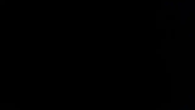 BlackFox V online show from February 2026 09:01:01 PM