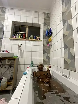 Snapshot of BankssWithTheBenz chatting on February 2026 06:37:02 PM BankssWithTheBenz online show from February 2026 06:37:02 PM