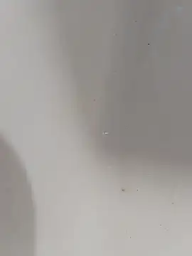 Snapshot of ONixCris chatting on March 2026 06:20:01 AM ONixCris online show from March 2026 06:20:01 AM