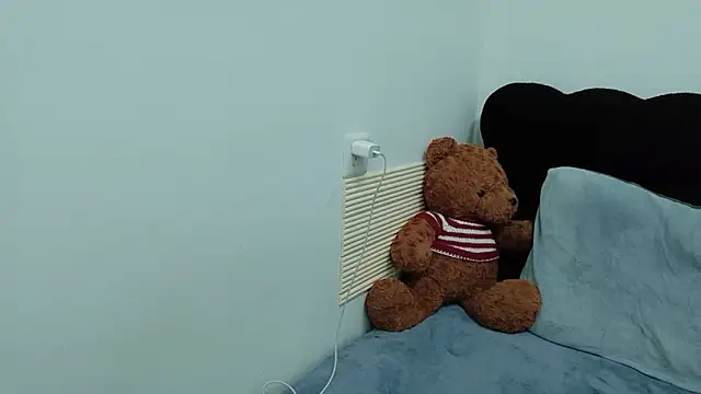 Snapshot of onnilan chatting on February 2026 04:24:02 PM onnilan online show from February 2026 04:24:02 PM