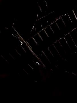 alex callmemaybe69 online show from February 2026 09:30:02 PM