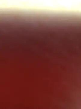 alex callmemaybe69 online show from February 2026 10:39:01 PM