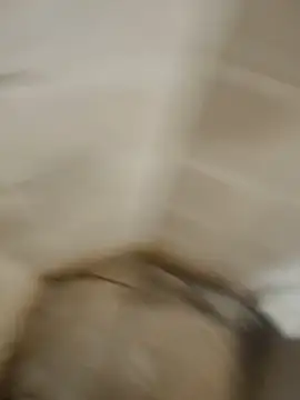 Gordinho dos pes online show from April 2026 03:18:01 AM