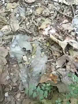 Snapshot of kalai_32 chatting on February 2026 06:19:02 AM kalai 32 online show from February 2026 06:19:02 AM