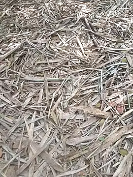 Snapshot of kalai_32 chatting on February 2026 06:51:02 AM kalai 32 online show from February 2026 06:51:02 AM