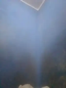 S7LEALTADPERVLIMA7 online show from April 2026 06:02:01 PM