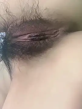 fadssa online show from February 2026 06:40:02 AM