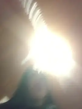 MeelFox online show from June 2026 02:58:01 AM