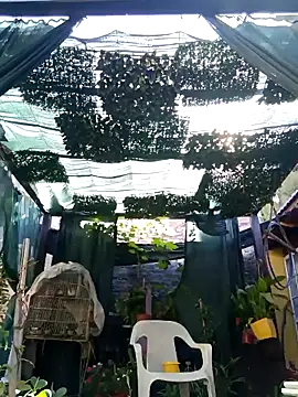 gordorichard online show from February 2026 12:39:02 PM