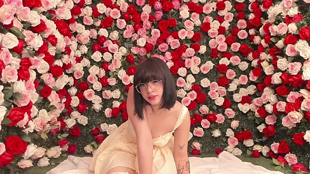 salome velour online show from June 2026 12:41:01 PM