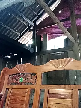 bongtuyet11 online show from February 2026 05:51:01 AM