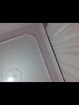 boraaily online show from February 2026 10:39:01 PM