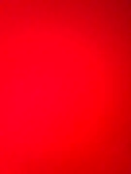 DocCock021 online show from February 2026 09:44:02 PM