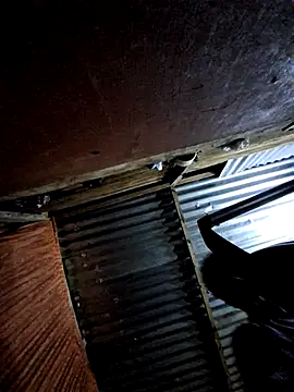 DocCock021 online show from February 2026 10:30:02 PM