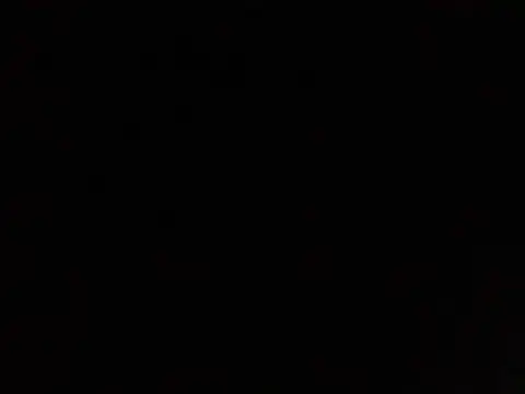 lavelle26 online show from February 2026 07:46:01 AM