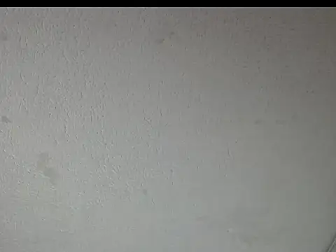 Snapshot of peytonbrunette chatting on March 2026 05:22:02 AM peytonbrunette online show from March 2026 05:22:02 AM