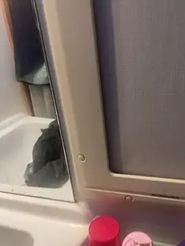 Snapshot of stallone_italiano_62 chatting on February 2026 06:56:01 AM stallone italiano 62 online show from February 2026 06:56:01 AM