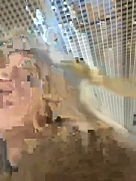 -OliviaSoft online show from March 2026 02:41:02 PM