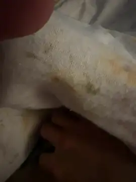 sbollando13 online show from February 2026 07:56:01 AM