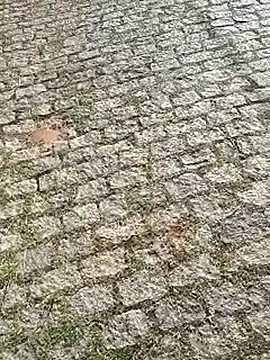 Snapshot of DiamanteNegro90 chatting on April 2026 11:43:01 AM DiamanteNegro90 online show from April 2026 11:43:01 AM