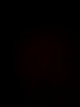 Snapshot of plump-bums chatting on February 2026 12:56:01 PM plump-bums online show from February 2026 12:56:01 PM