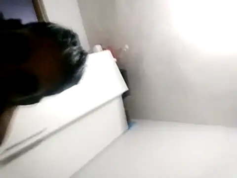 Baby P online show from March 2026 05:49:01 PM