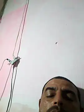 cobrosdepagos online show from February 2026 01:51:02 PM