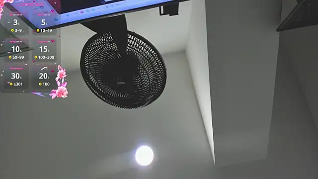 agartha velvet online show from March 2026 03:40:01 AM