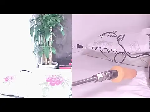 Carol Swet online show from April 2026 11:02:02 AM