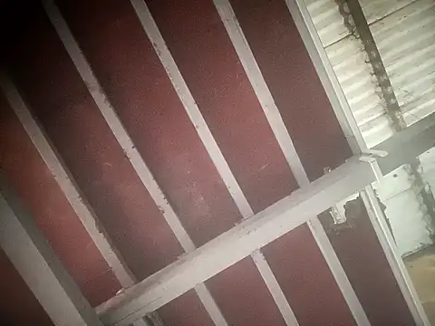 sex baby26 online show from February 2026 06:47:01 AM