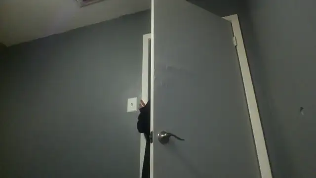 MissBella0969 online show from April 2026 04:37:01 AM