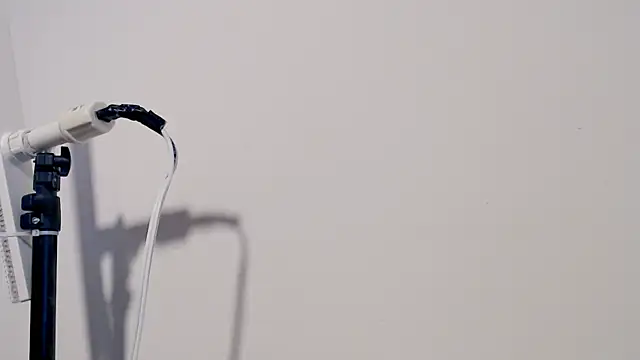 MARYXS1 online show from February 2026 12:58:01 PM